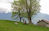 Alto Lago di Como - 091